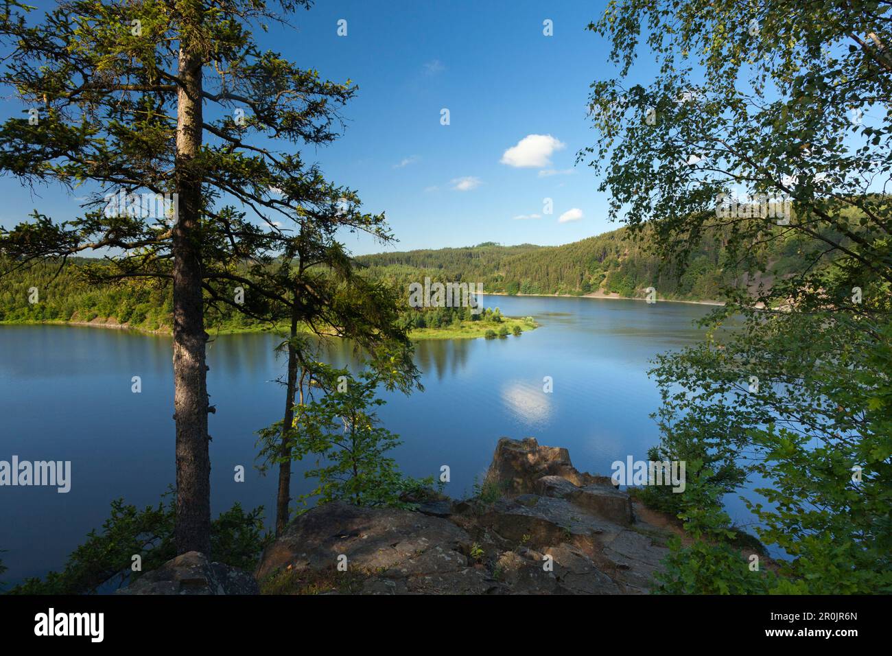 Saale Barrieresee, Naturpark Thueringer Schiefergebirge / Obere Saale, Thüringen, Deutschland Stockfoto