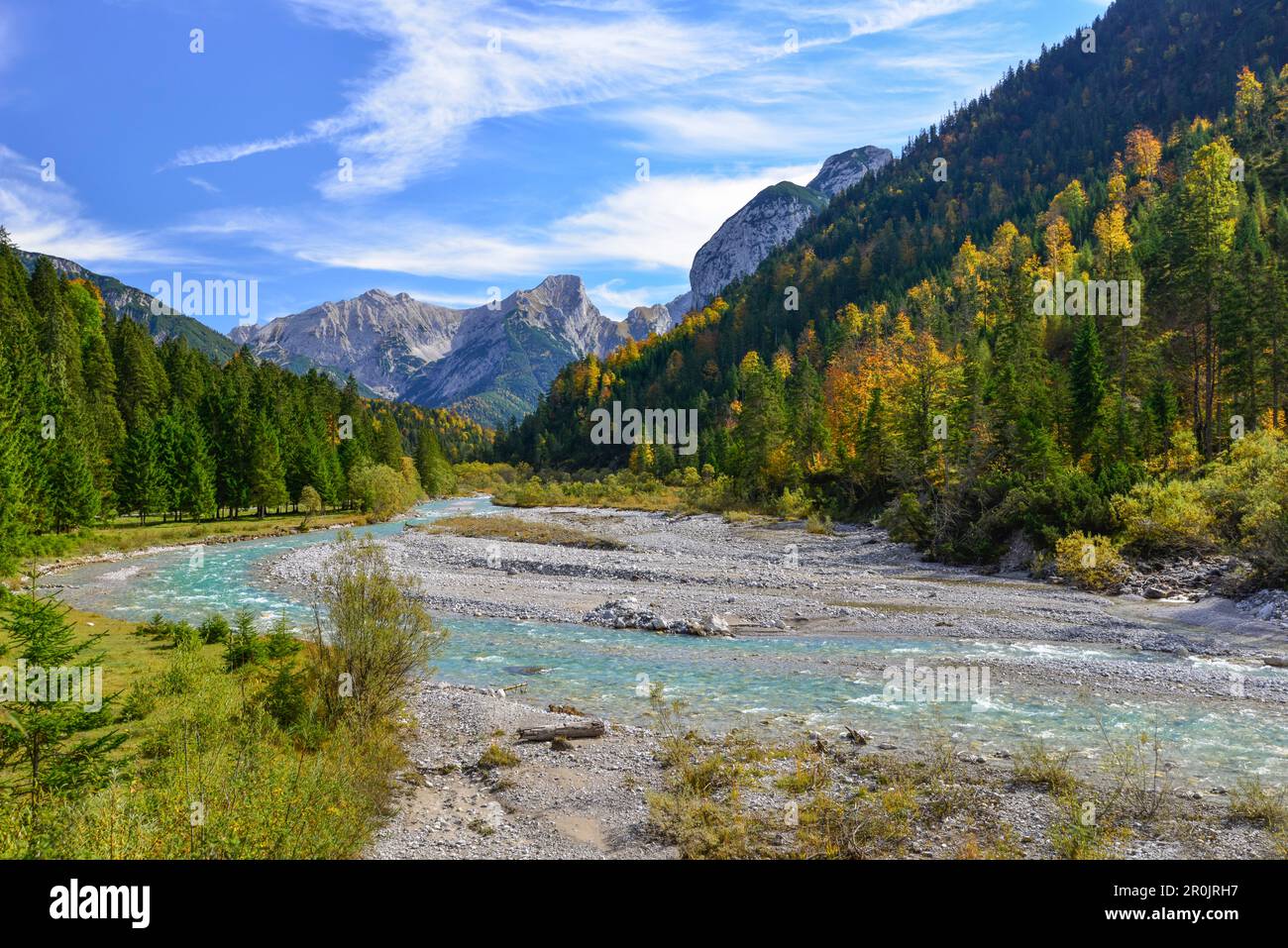 Herbstfarben am Rißbach mit Blick auf Laliderer Wände, den Großen Ahornboden, Hinterriß, das Engtal, die nördlichen kalksteinalpen, Karwendelgebirge Stockfoto