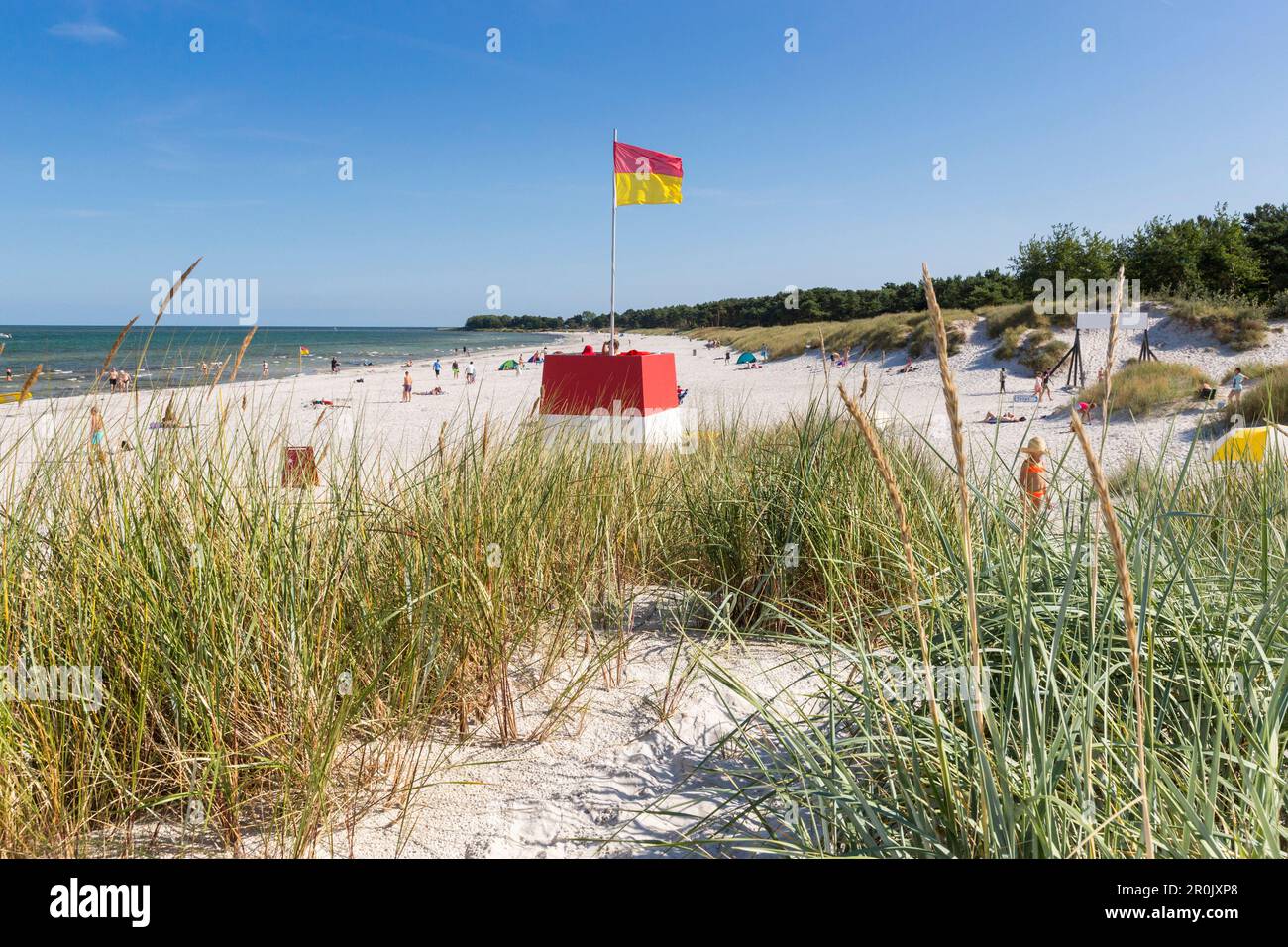 Balka Strand, beliebte Bucht mit Sandstrand, Sommer, Ostsee, Bornholm, in der Nähe der Snogebæk, Dänemark, Europa Stockfoto