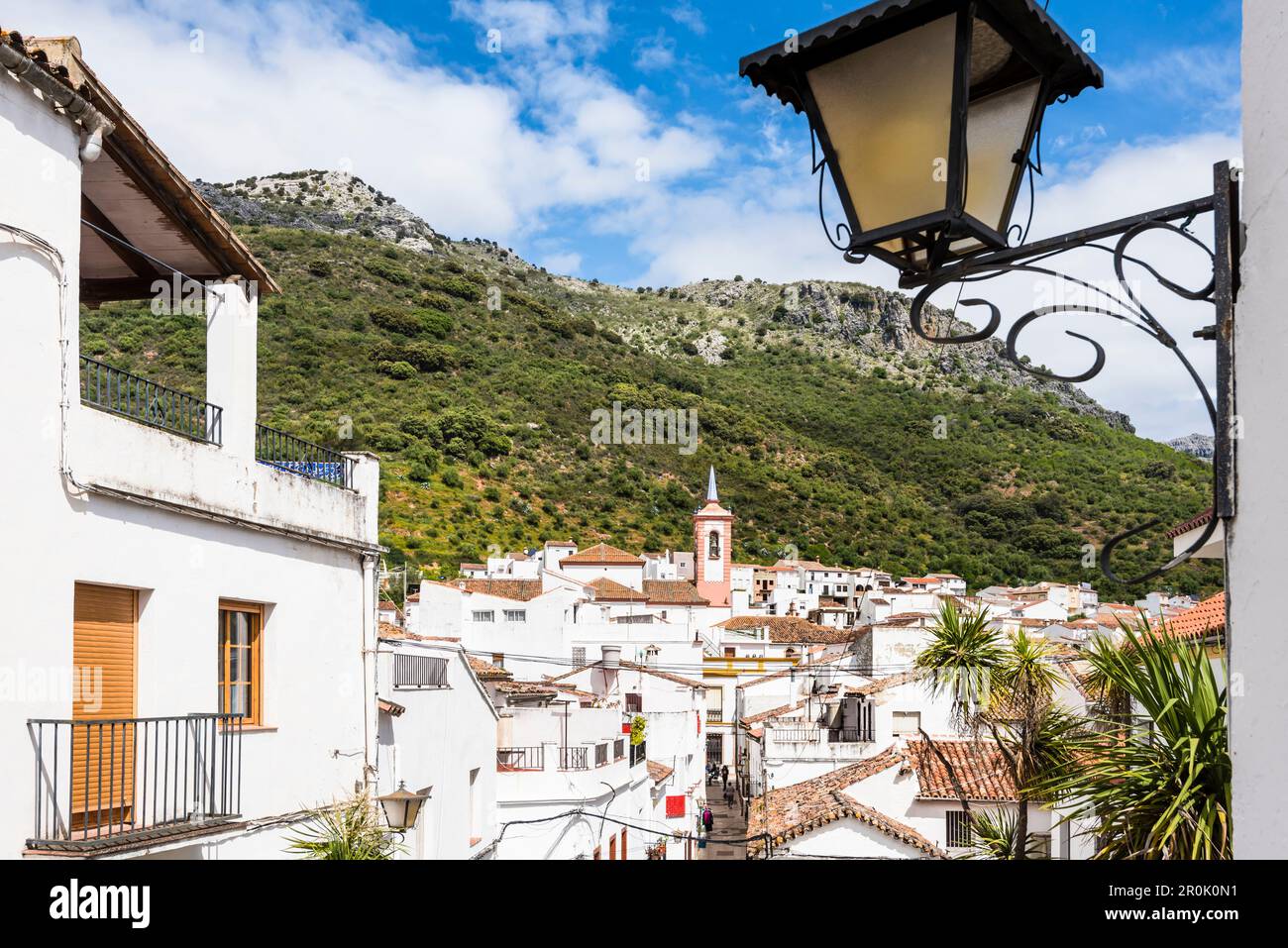 Blick auf ein Bergdorf, Cortes de la Frontera, Parque Natural Sierra de Grazalema, Andalusien, Spanien Stockfoto