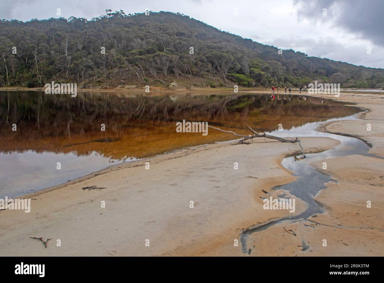 Salzwasserlagune, Freycinet-Nationalpark Stockfoto
