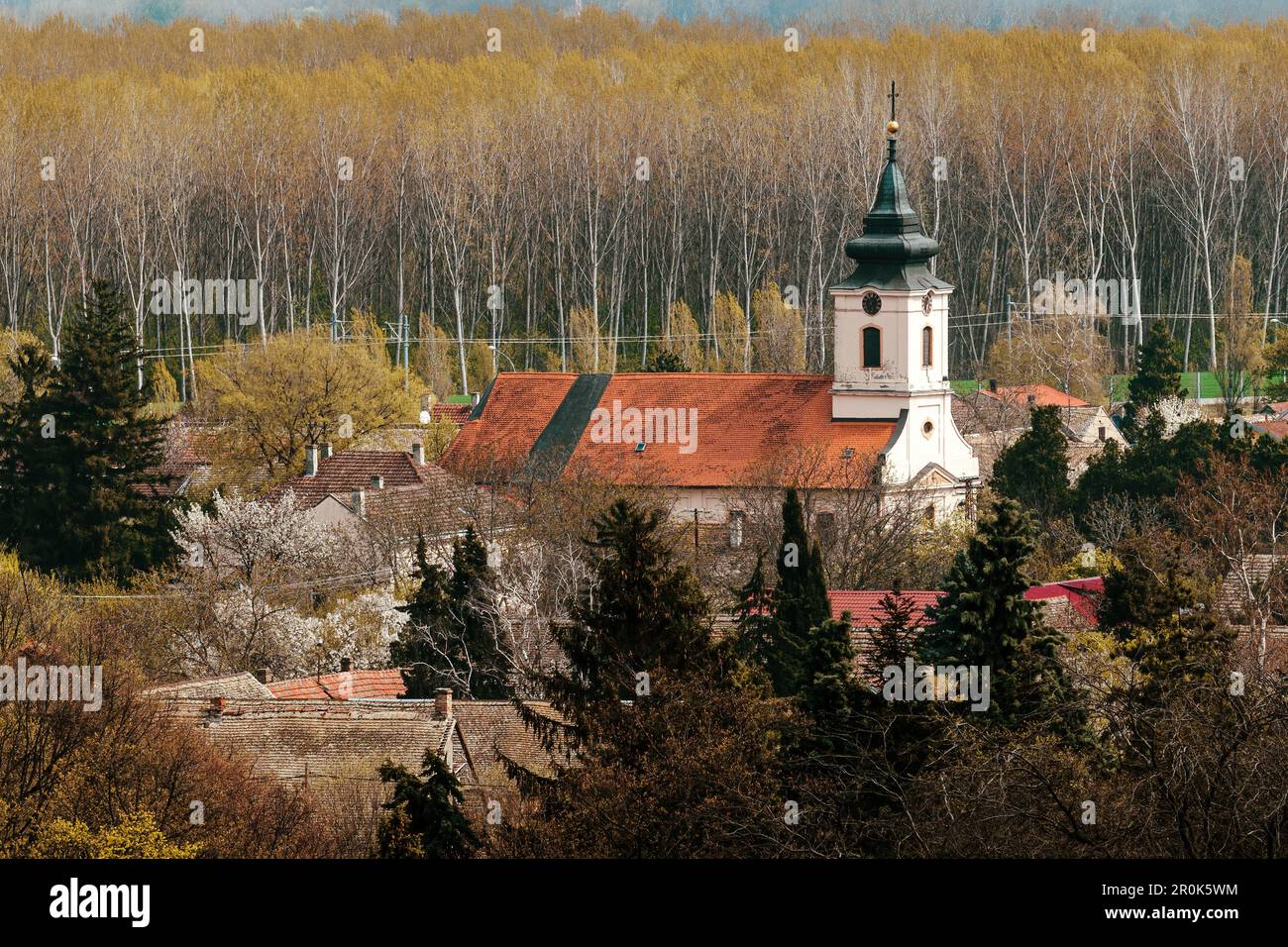 Katholische Kirche der Heiligen Kreuzung in Petrovaradin in Vojvodina, Serbien Stockfoto