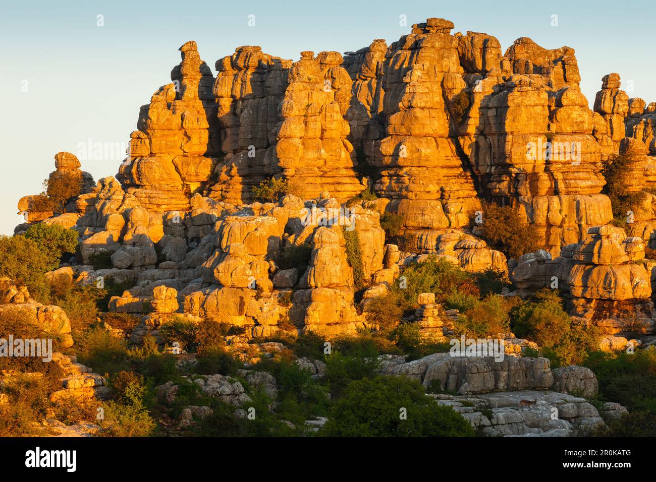 El Torcal, El Torcal de Antequera, Naturpark, Karstlandschaft, Erosion, nahe Antequera, Malaga, Andalusien, Spanien Stockfoto
