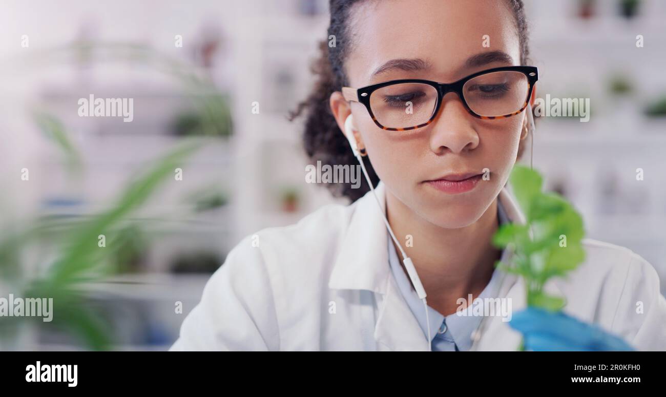 Sie findet Pflanzen am faszinierendsten zu studieren. Ein junger Wissenschaftler, der mit Pflanzenproben in einem Labor arbeitet. Stockfoto