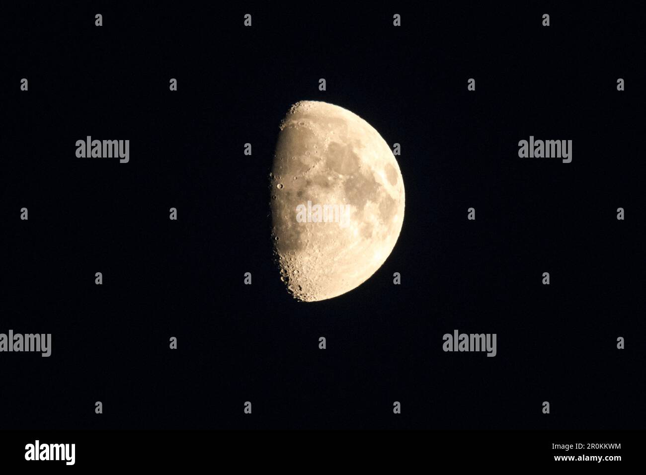 Mond aus nächster Nähe, Monddetails, Mondkrater, Mondsilhouette, Halbmond, Nachthimmel, Linum, Linumer Bruch, Brandenburg, Deutschland Stockfoto