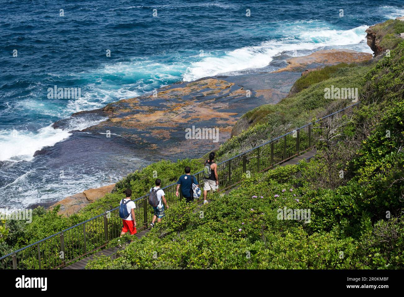 Der Spaziergang von Bondi nach Coogee entlang Sydneys Küste, Sydney, New South Wales, Australien Stockfoto