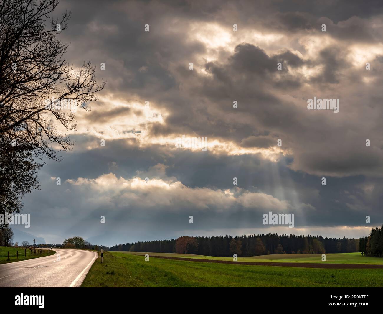 Herbststimmung in Chiemgau, Gstadt am Chiemsee, Oberbayern, Deutschland Stockfoto