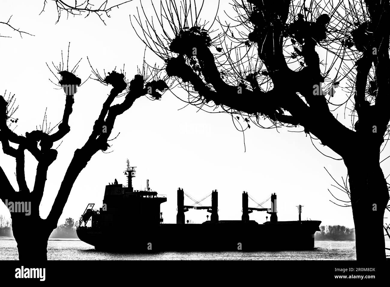 Silhouette eines Frachtschiffs auf der Elbe, umrahmt von markanten Bäumen, Hamburg, Deutschland Stockfoto