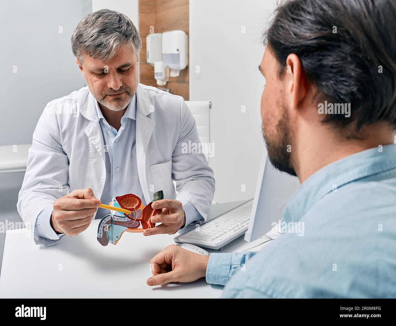 Arzt-Urologe, der Patienten mit Prostatitis konsultiert und ihm Behandlungsmethoden am anatomischen Modell des männlichen Fortpflanzungssystems erklärt. Prost Stockfoto