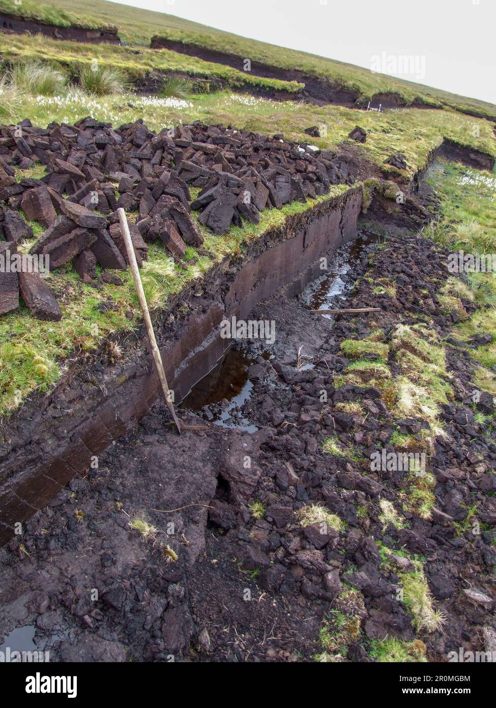 Torfbänke, die in den Shetland Schottland für Winterbrennstoff geschnitten werden Stockfoto