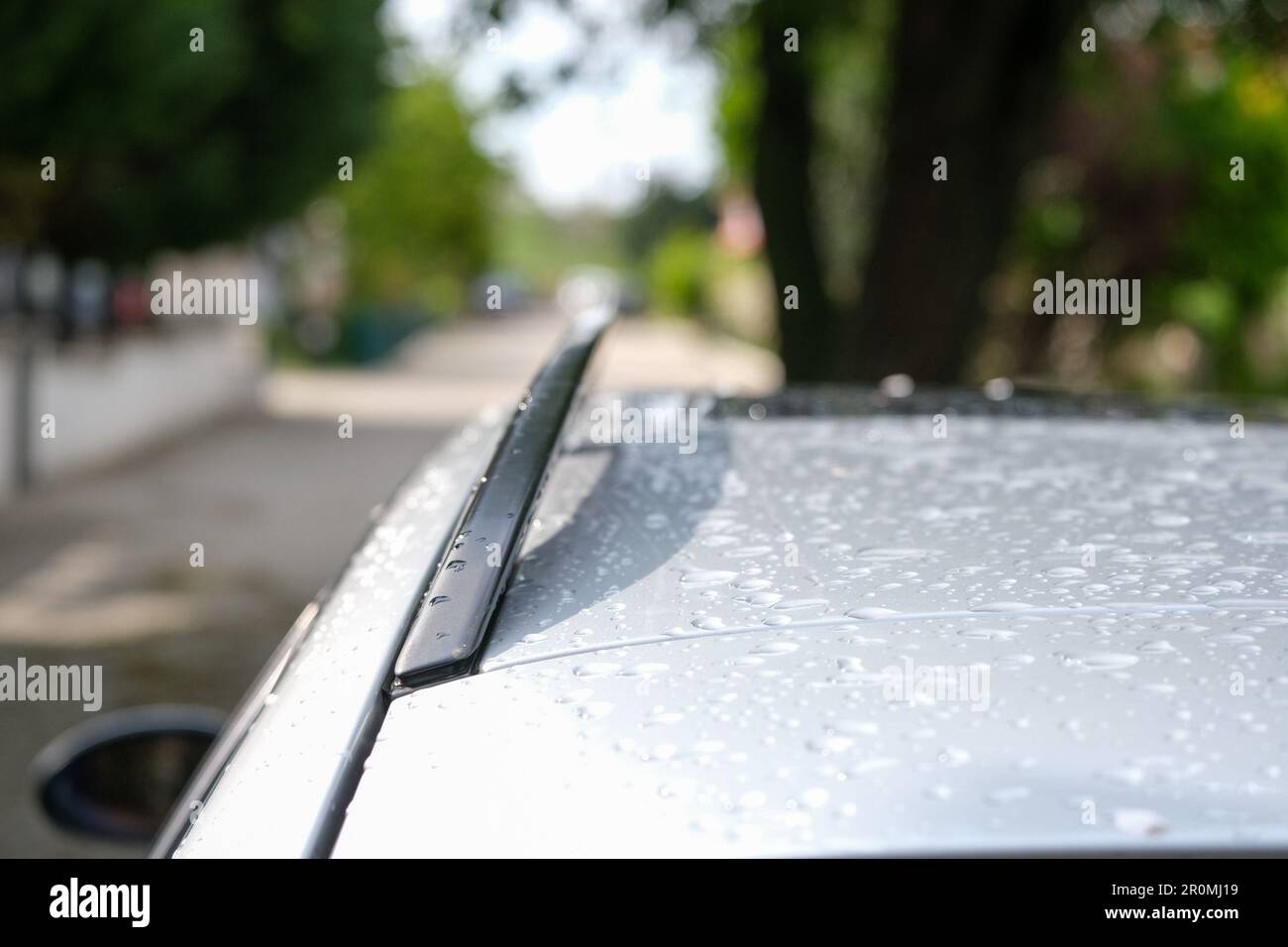 Schließen Sie den Dachgepäckträger weit über dem Auto mit einsamem Baum und Straßenhintergrund. Nasse Oberfläche über dem Fahrzeug. Selektiver Fokus. Stockfoto