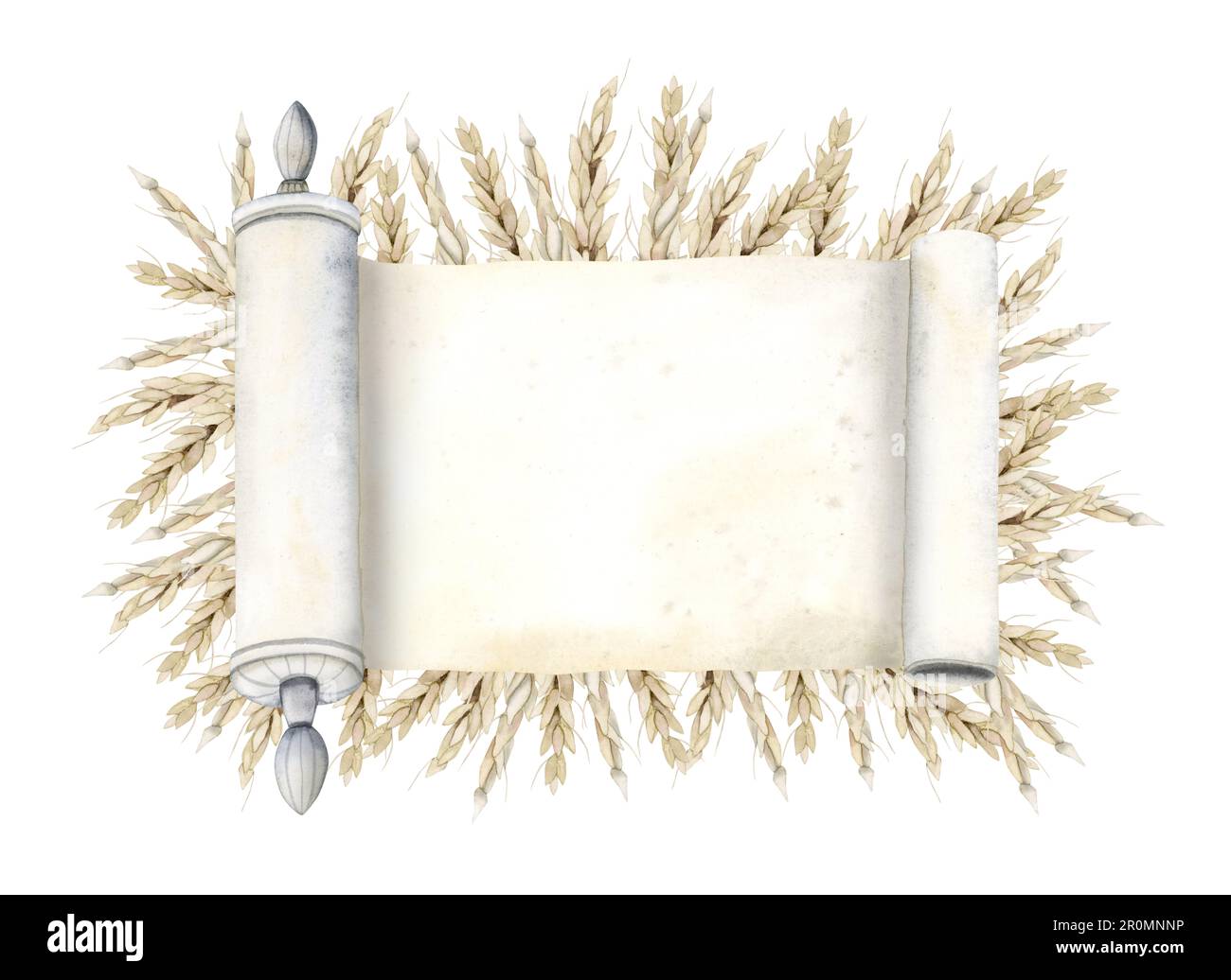 Shavuot Grußkartenvorlage mit Aquarell-Torah-Schriftrolle und Weizenohren für jüdische Feiertage, leeres Papier iIllustration Stockfoto