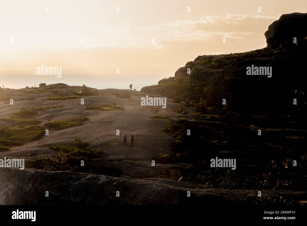 Ein Mann mit Hund geht auf dem Preikestolen über glatte Felsen in Richtung Sonnenaufgang. Ein Wanderpaar folgt. Lysefjord. Norwegen Stockfoto