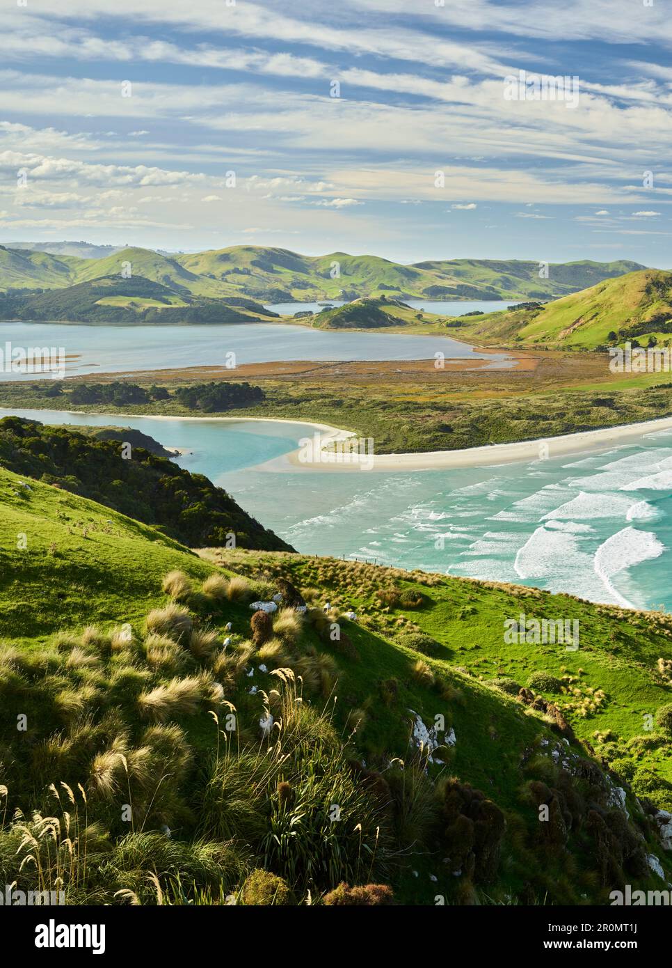 Allans Beach aus dem Sandymount Recreation Reserve, Otago, South Island, Neuseeland, Oceania Stockfoto