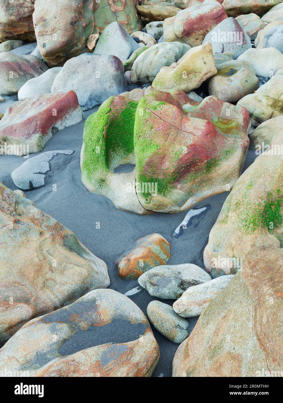 Felsen am Back Beach, Mew Plymouth, Taranaki, Nordinsel, Neuseeland, Oceania Stockfoto