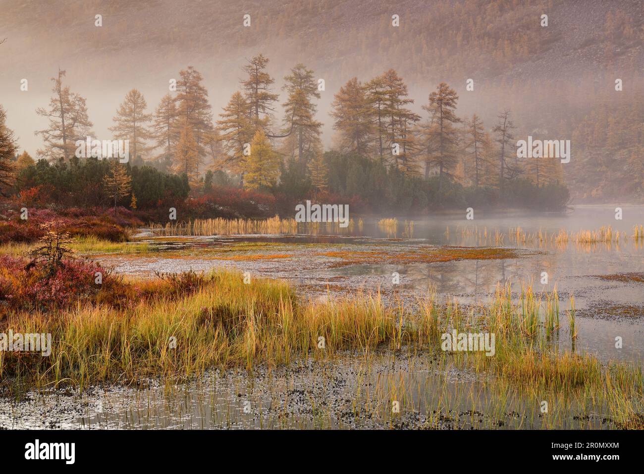 Nebeliger Morgen am See, Magadan-Region, Russland Stockfoto