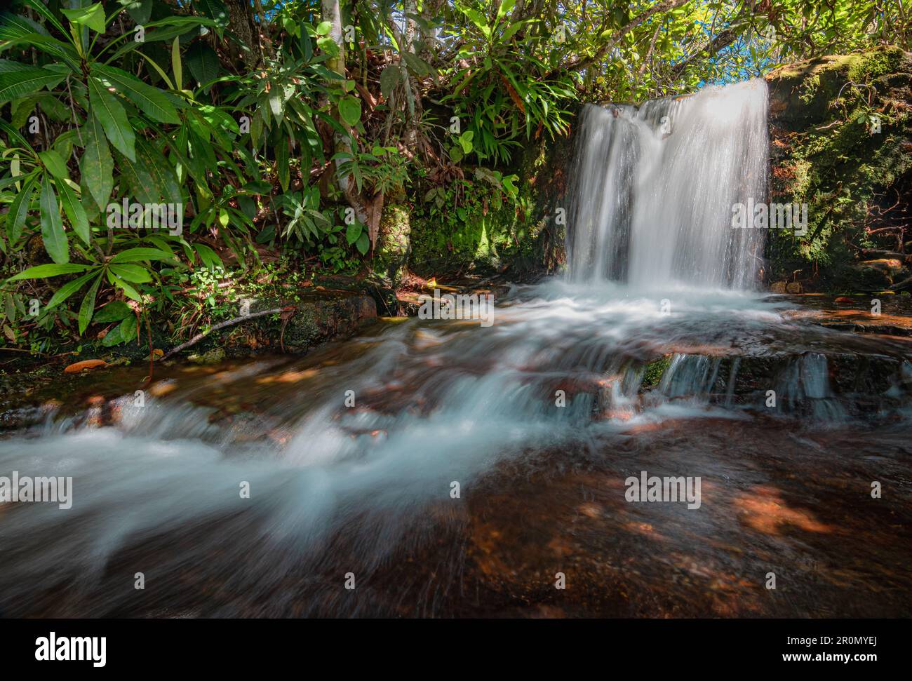 Eine wunderschöne Landschaft, geformt durch einen Wasserfall mit Wasserfluss, Fluss und umgeben von Bäumen und grüner Vegetation in der Mitte des Waldes. Stockfoto