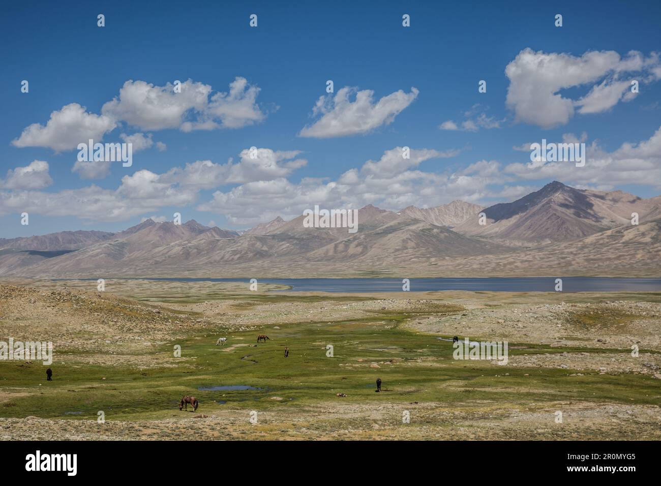 Zorkul-See, Grenze Afghanistan und Tadschikistan, Pamir, Asien Stockfoto