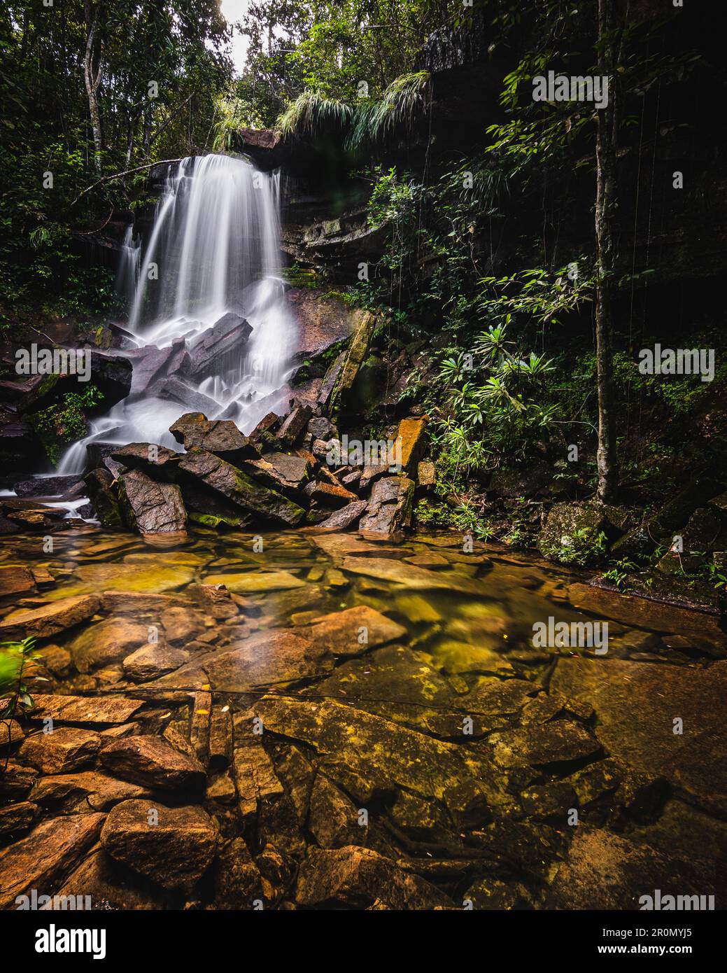 Eine wunderschöne Landschaft, geformt durch einen Wasserfall mit Wasserfluss, Fluss und umgeben von Bäumen und grüner Vegetation in der Mitte des Waldes. Stockfoto