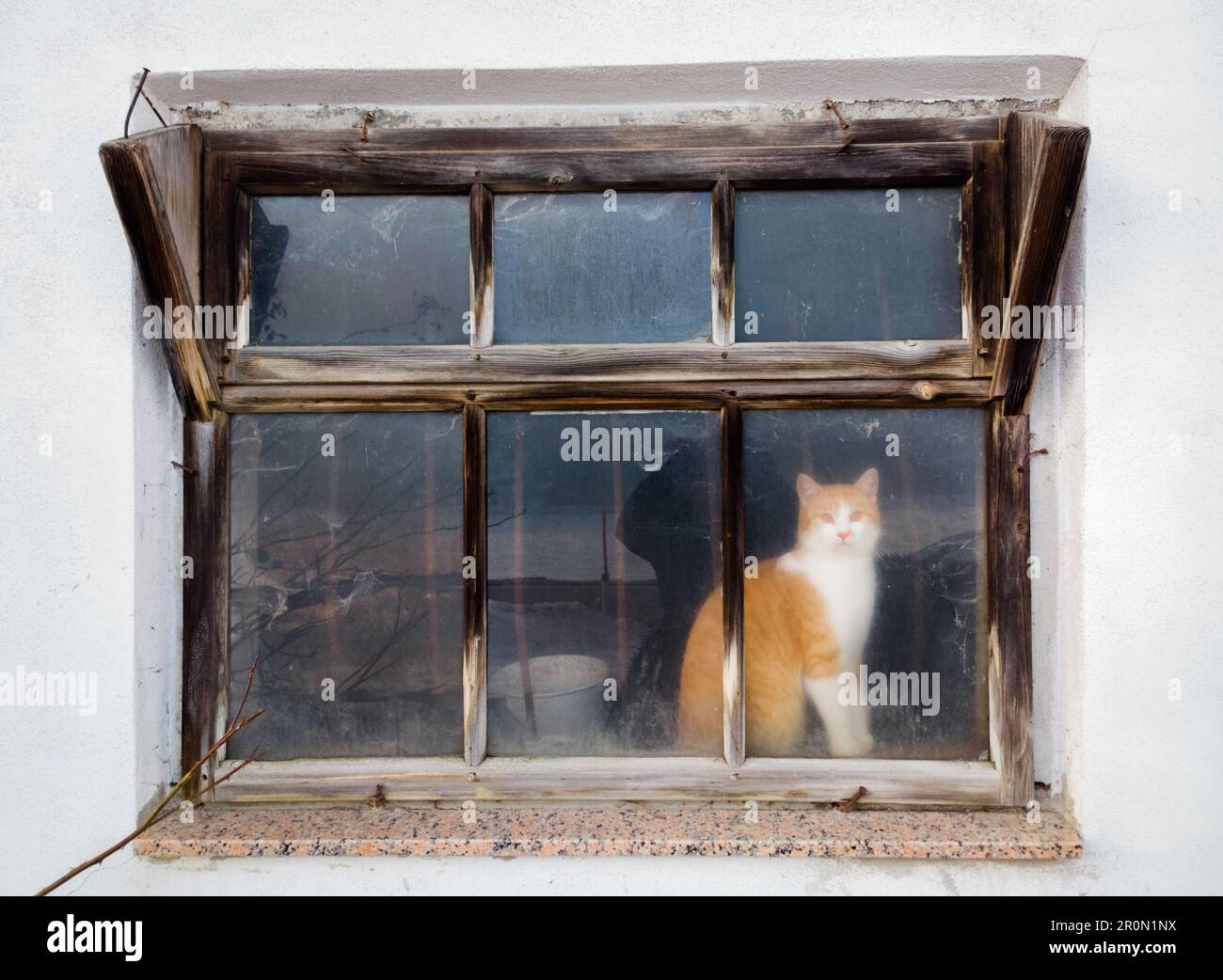 Außenaufnahme eines Holzfensters im alten Haus Mit Ingwer weiße Katze sitzen hinter Stockfoto