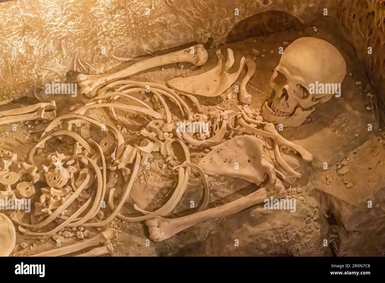 Nahaufnahme eines menschlichen Skeletts in einem Steinsarg Stockfoto