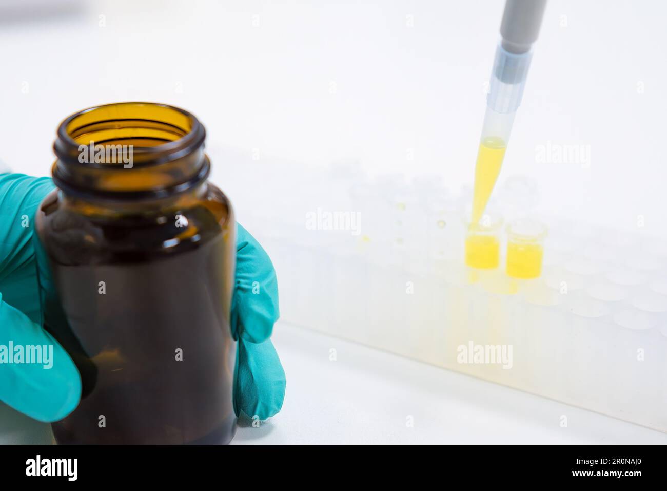 Labormitarbeiter gießt flüssige Proben mit Pipettenspender in Glasröhrchen. Wissenschaftler führt chemische Tests mit Glasgeräten durch Stockfoto