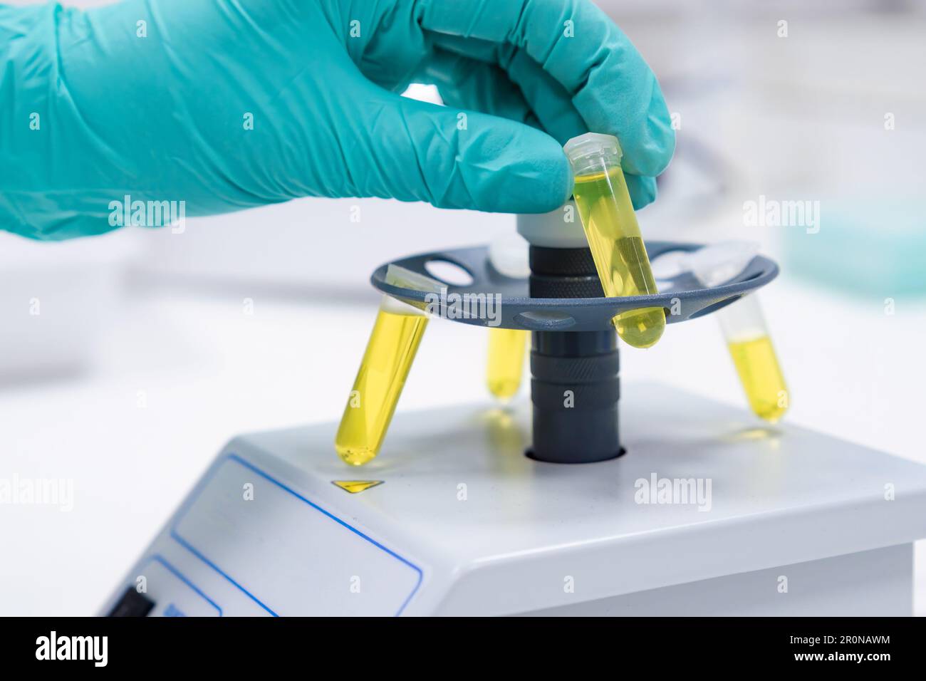 Ein Wissenschaftler legt ein Reagenzglas in eine Mikrozentrifuge, um Proben für die DNA-Analyse zu schütteln oder zu zentrifugieren. Stockfoto