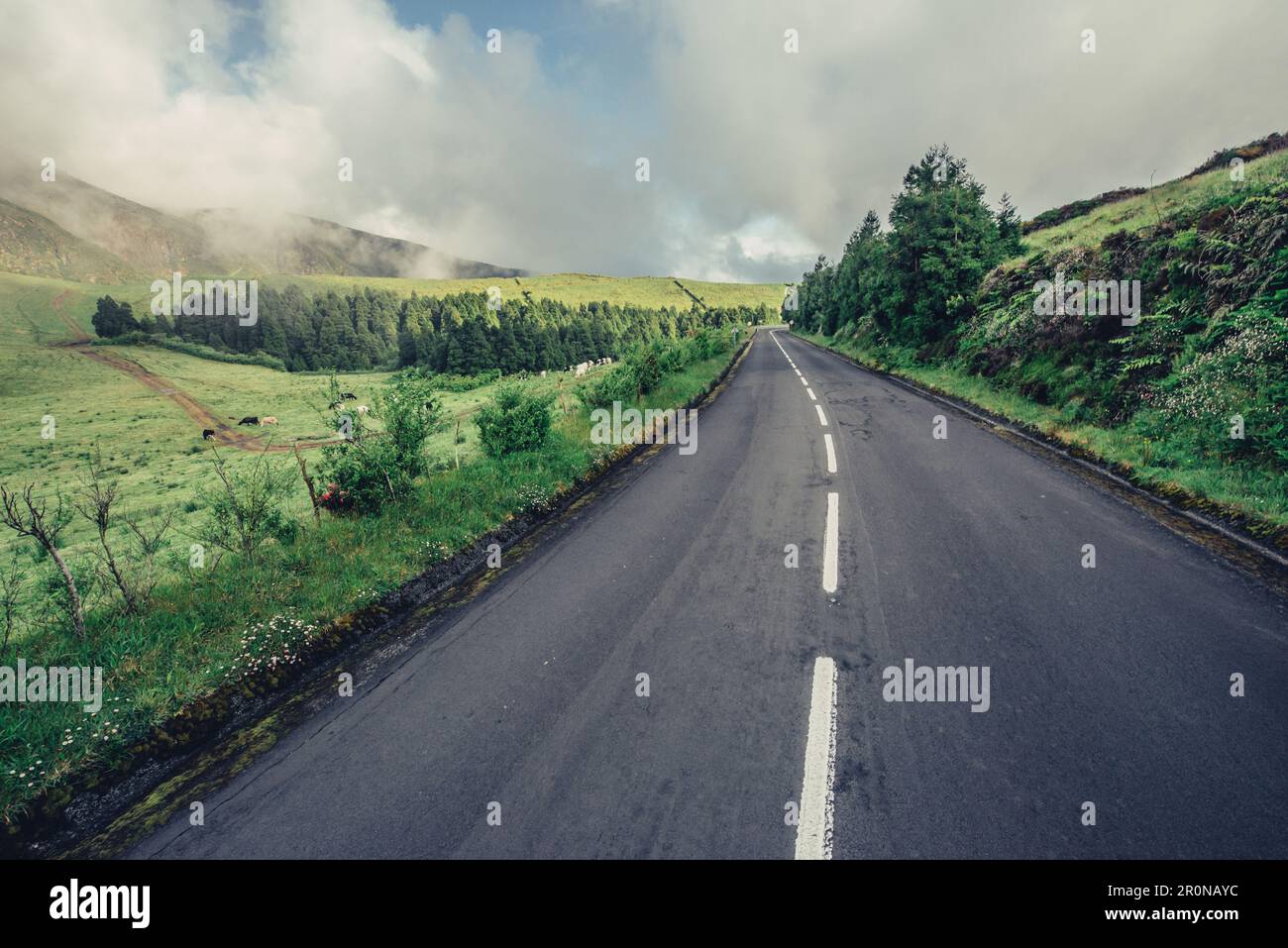 Straße, Sao Miguel, Azoren, Portugal, Atlantik, Atlantik, Europa Stockfoto