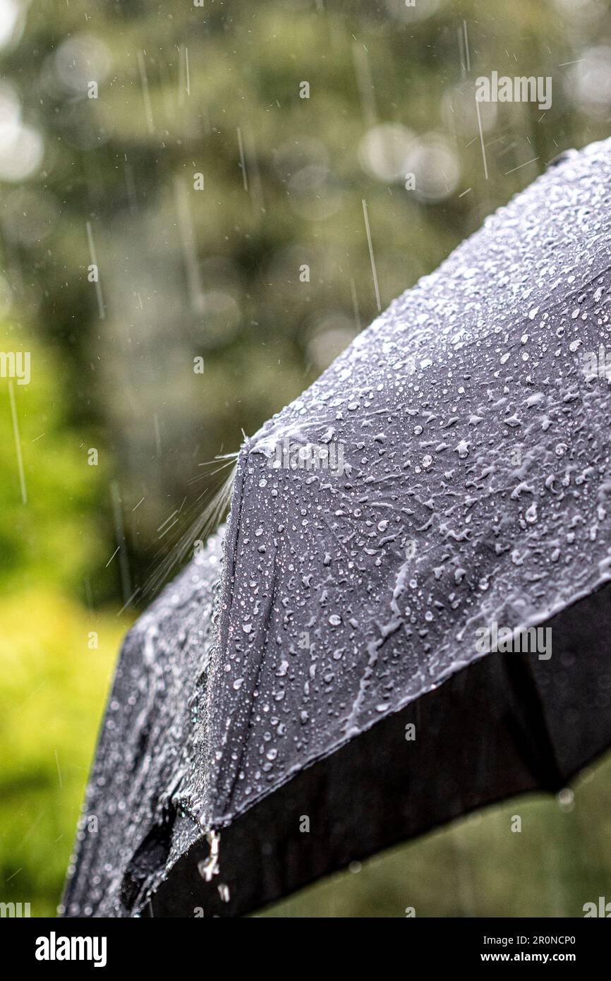 Kidderminster, Großbritannien. 9. Mai 2023. Wetter in Großbritannien: Plötzliche heftige Gewitterstürme treffen die Midlands. Die Brolleys sind plötzlich draußen, wenn die Sonne zu starkem Regen wird. Kredit: Lee Hudson/Alamy Live News Stockfoto