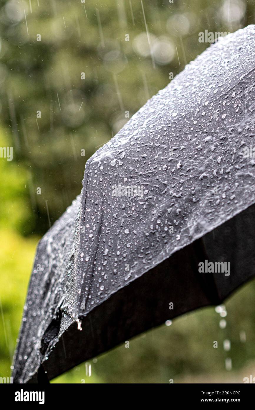 Kidderminster, Großbritannien. 9. Mai 2023. Wetter in Großbritannien: Plötzliche heftige Gewitterstürme treffen die Midlands. Die Brolleys sind plötzlich draußen, wenn die Sonne zu starkem Regen wird. Kredit: Lee Hudson/Alamy Live News Stockfoto