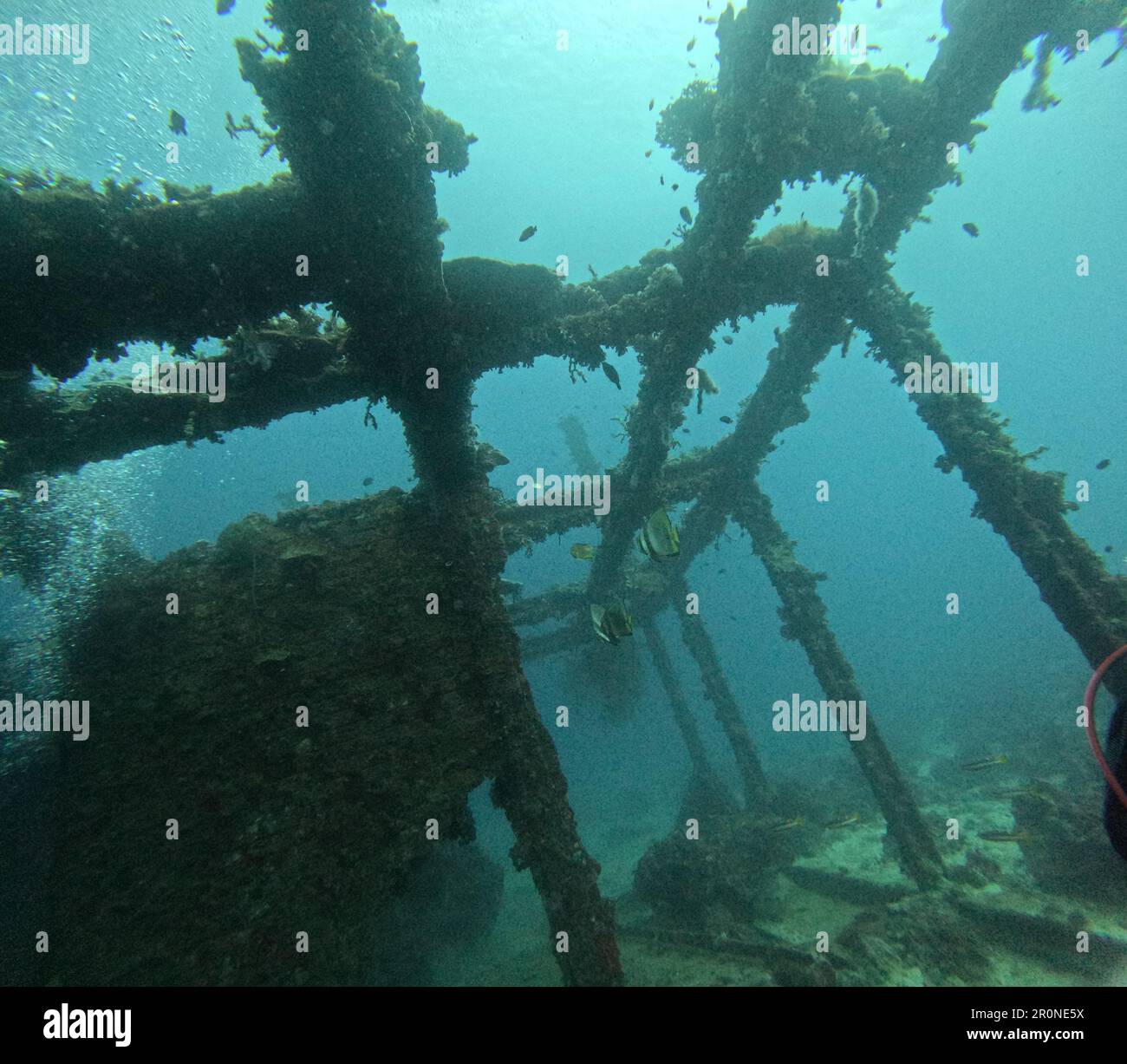 Ein Unterwasser-Schiffswrack, das ein Riff mit Fischen und Korallen in Anilao, Batangas, Philippinen bildet Stockfoto