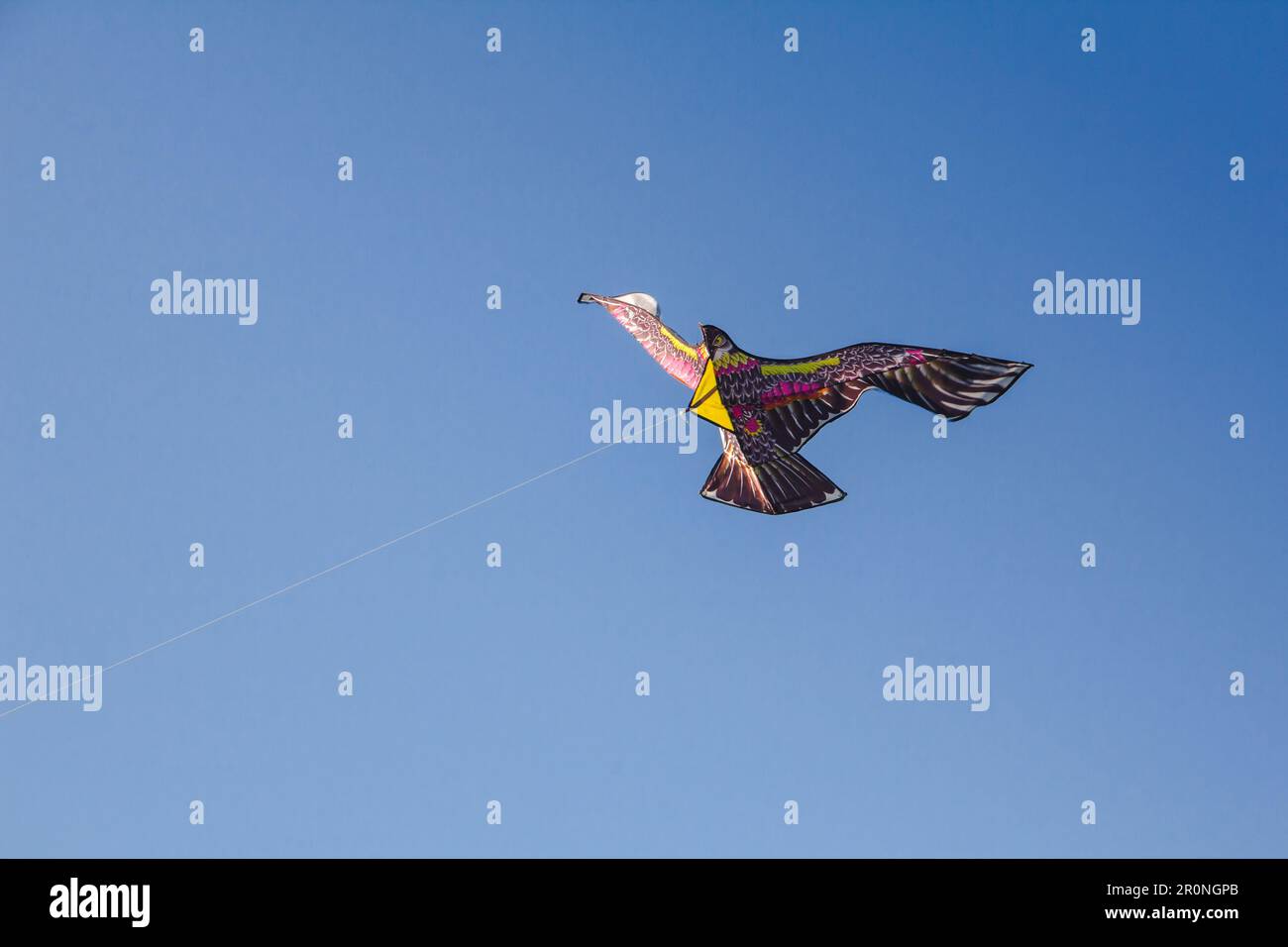 adlerdrachen im Himmel. Ein Adlerdrachen gleitet gegen den Wind im Himmel. Stockfoto