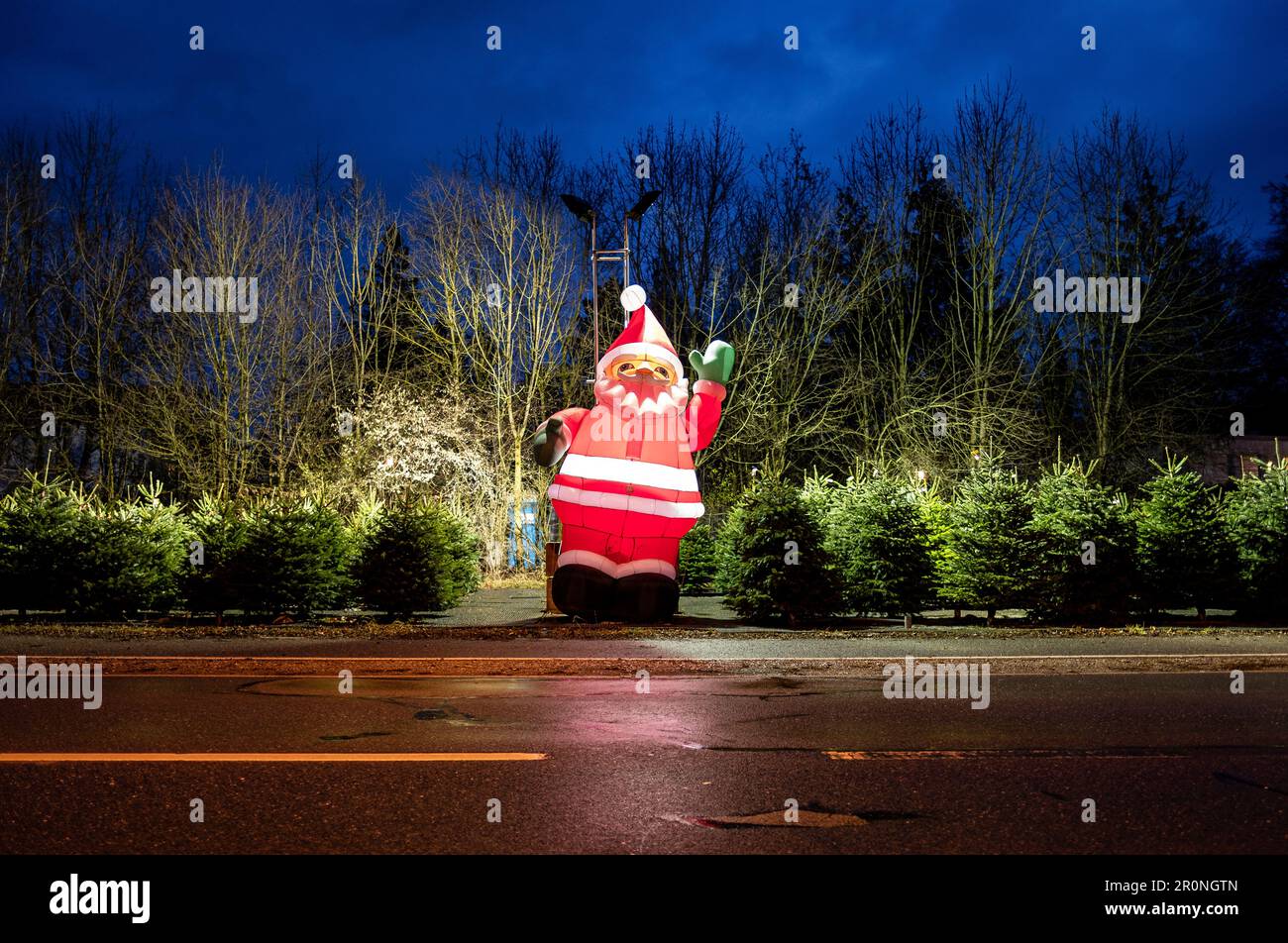 Der große Weihnachtsmann als Dekoration bei einem Weihnachtsbaumverkauf, München, Bayern Stockfoto