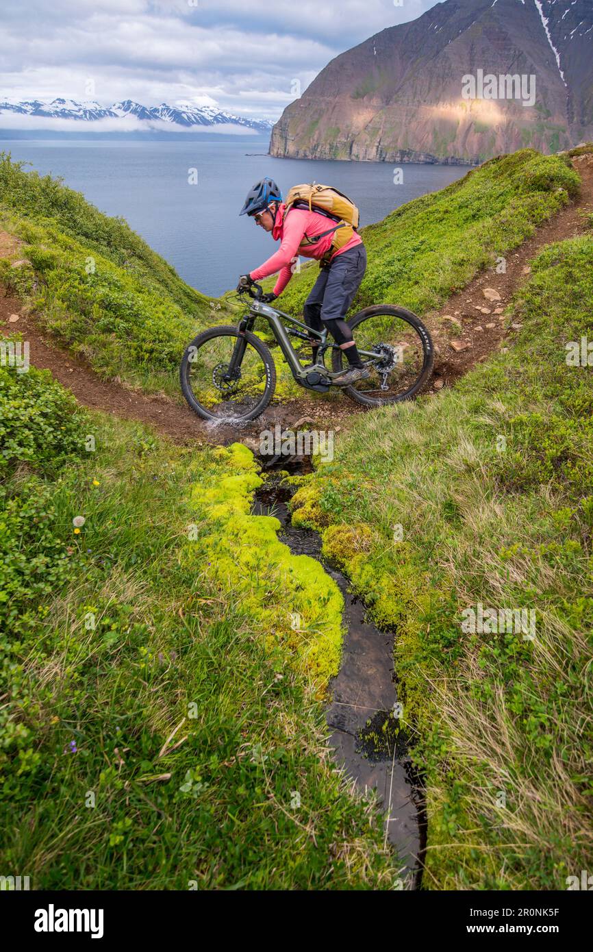 Island, Road Trip, Mitsommernacht, Mountainbike, Fjord, Einzelstrecke, E-Bike Stockfoto