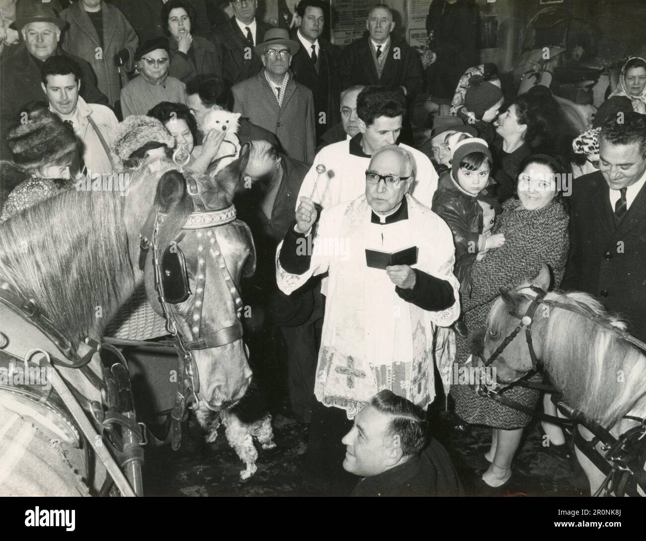 Ein römisch-katholischer Priester segnet die Tiere, Italien 1965 Stockfoto