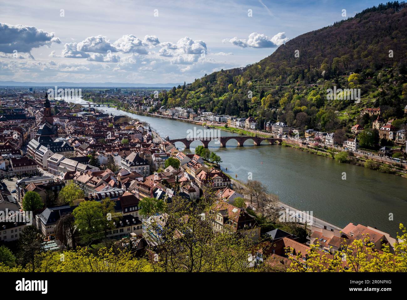 Blick auf die Altstadt und die Alte Brücke über den Neckar, Heidelberg Stockfoto