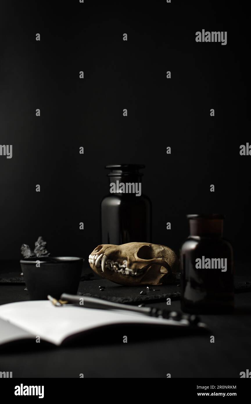 Dunkle Stimmung, Stillleben. Ein echter Fuchskopf, ein Kalligrafiestift, eine Aopthekarflasche, ein schwarzer Holztisch. Gotische Hexen-Launen-Hintergrund. Stockfoto