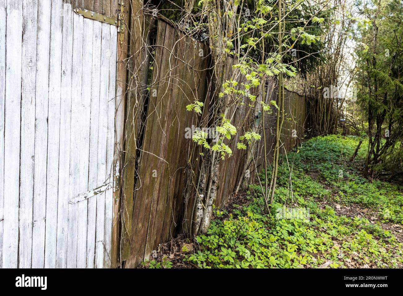 Gemaltes Holztor und wackeliger Holzzaun der Dorfgegend Stockfoto