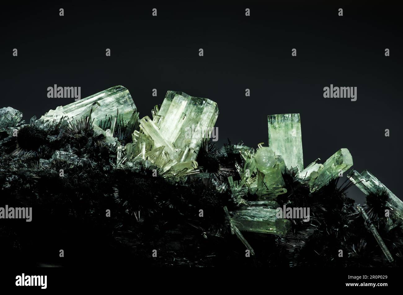 Grünes Beryl (Smaragd) auf Schorl (schwarzes Turmalin)-Matrix. Texturhintergrund für Makrodetails. Nahaufnahme von rohem, unpoliertem Halbedelstein mit Stockfoto
