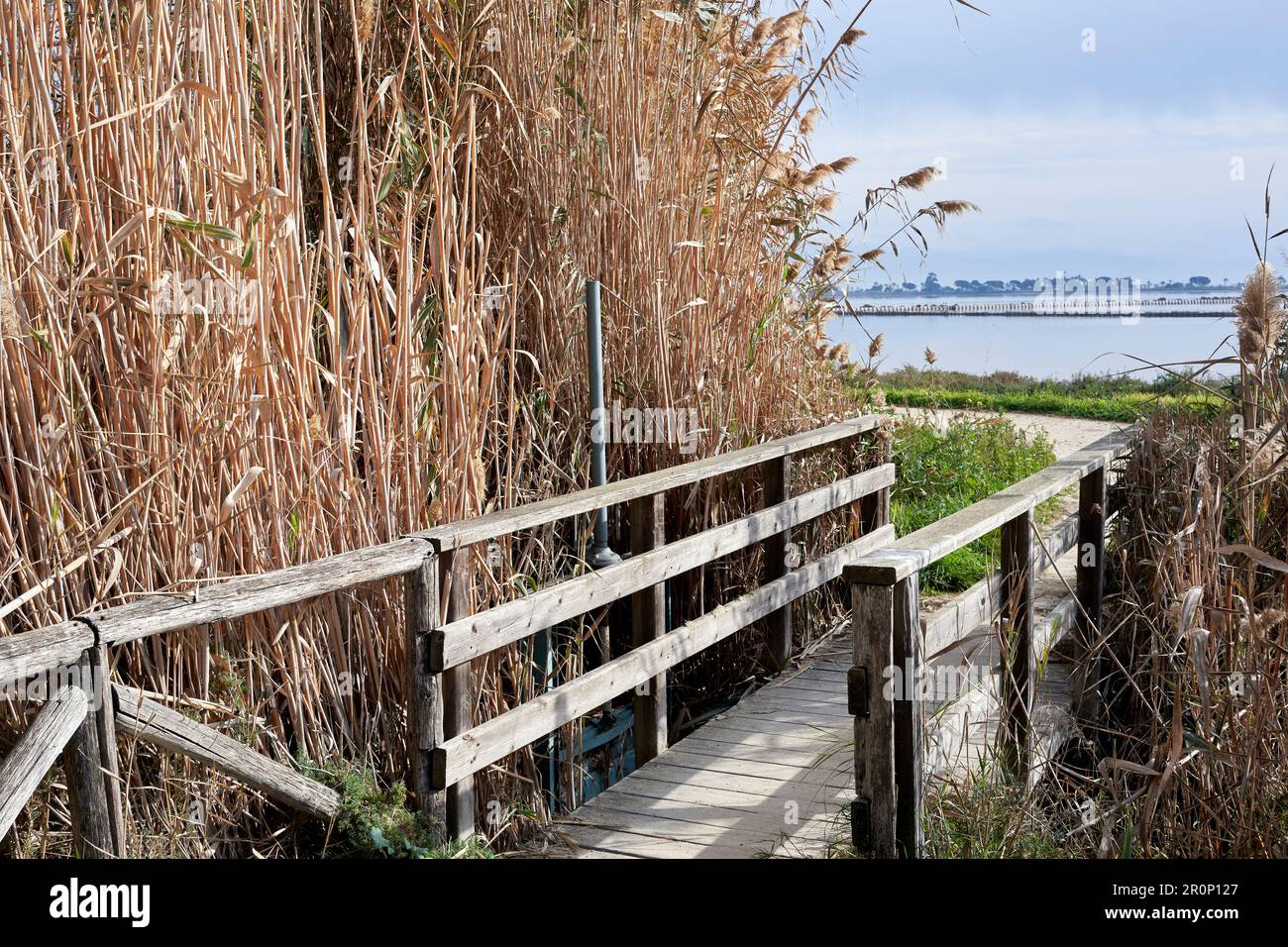 Naturschutzgebiet im Molentargius Saline Regional Park in der Nähe von Cagliari, Sardinien, Italien 2022. DEZEMBER. Stockfoto