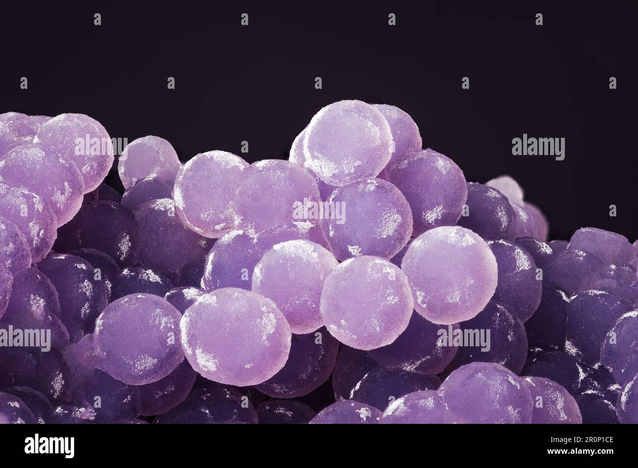 Grape Agate, violett-pinkfarbene Aggregate, Hintergrund mit Makro-Kreidedetails. Nahaufnahme von rohem, unpoliertem Halbedelstein. Stockfoto