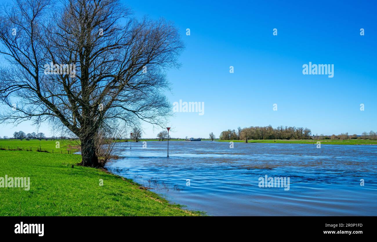 Blick über den Fluss IJssel in der Nähe von Bronckhorst, Niederlande Stockfoto