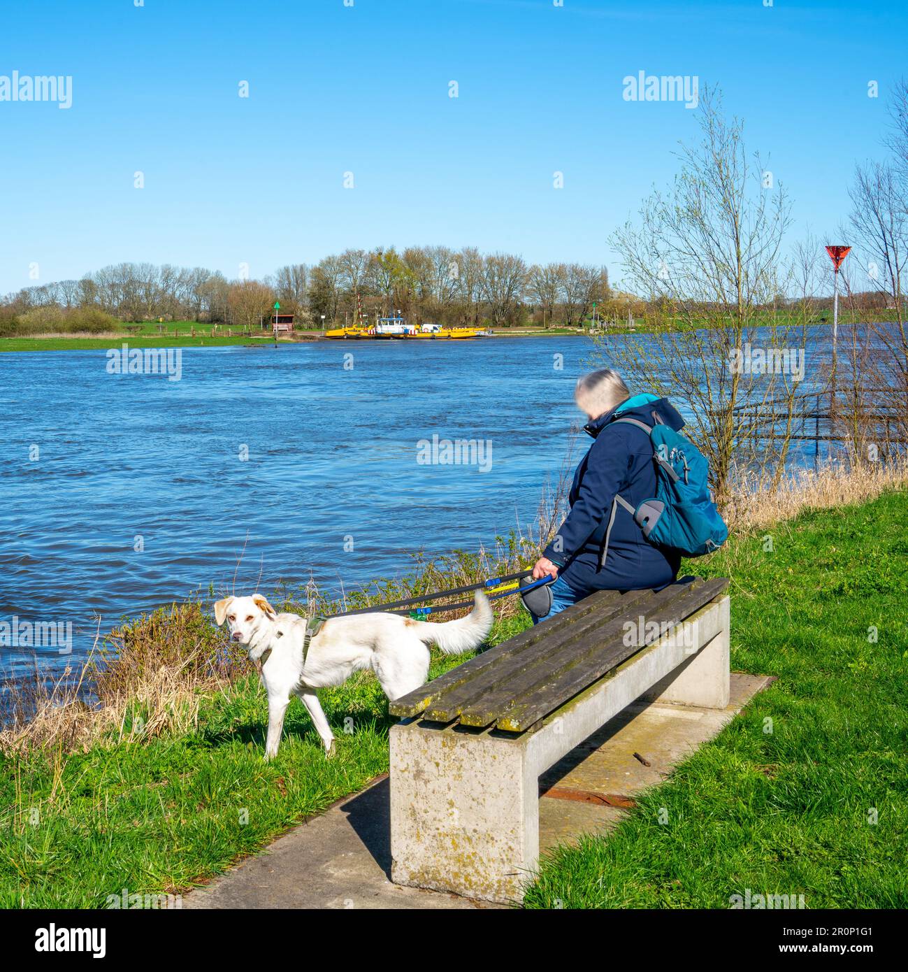 Frau mit Hund, die darauf wartet, dass die Fähre den Fluss IJssel überquert, Niederlande Stockfoto