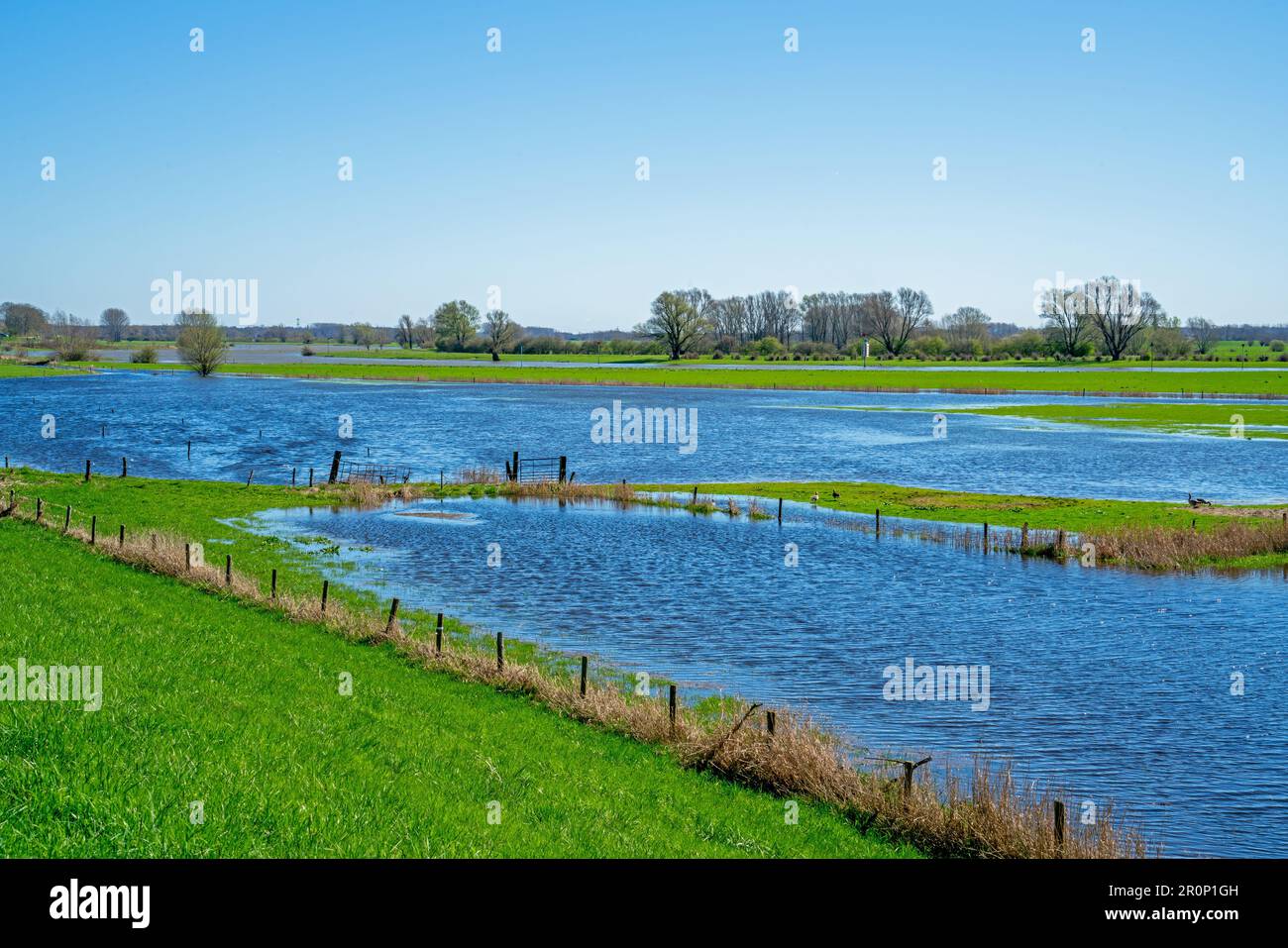 Blick über den Fluss IJssel in der Nähe von Bronckhorst, Niederlande Stockfoto