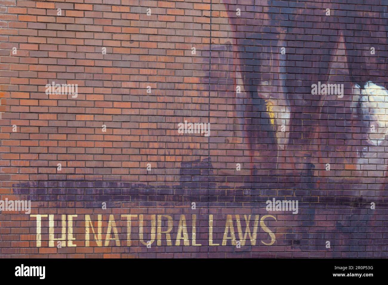 Teilweise öffentliche Wandmalerei von Faith XLVII im Mount Pleasant District von Vancouver, Kanada Stockfoto