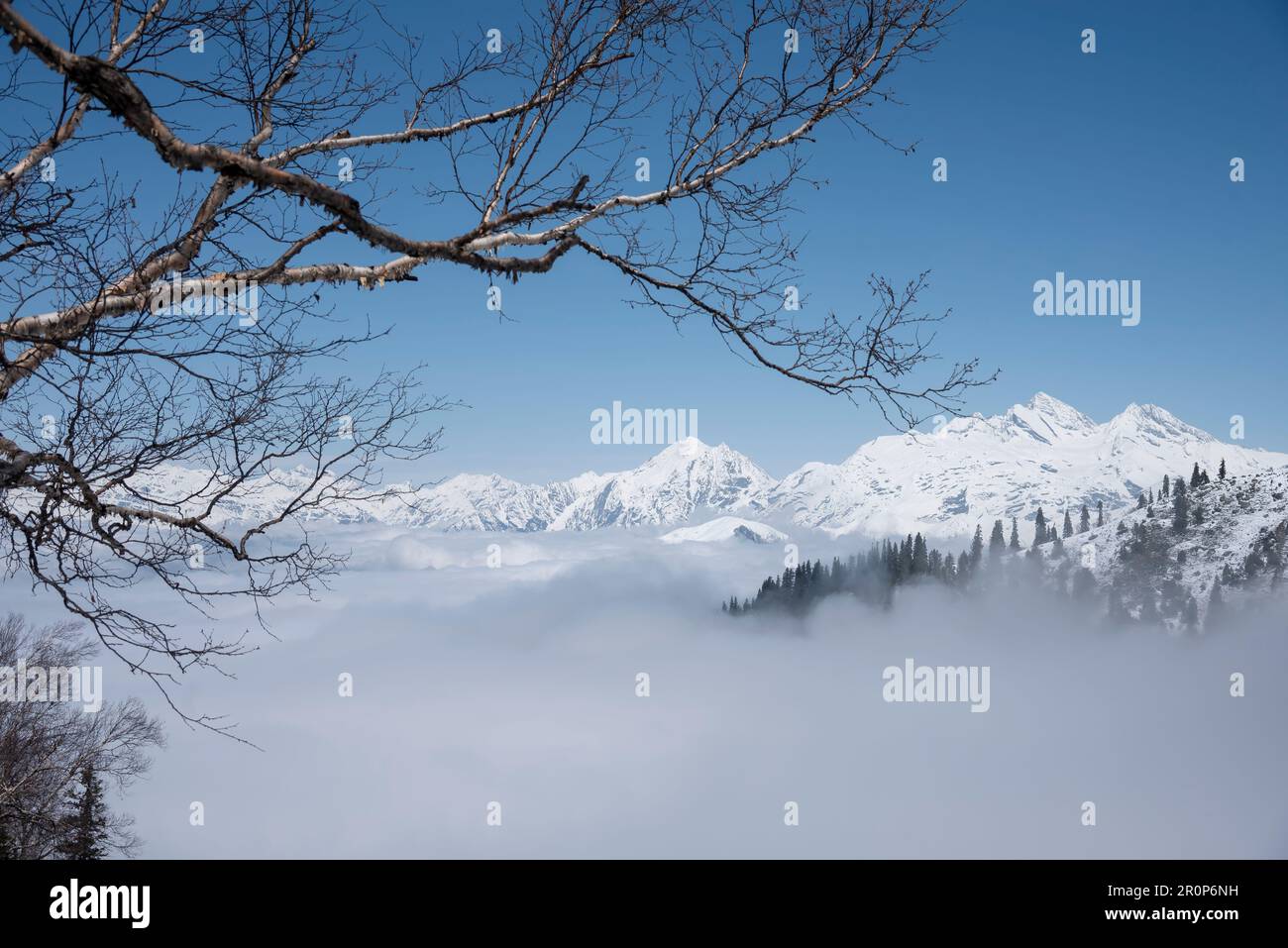 Allgemeine Ansicht des schneebedeckten Mt. Kolahoi liegen über den Wolken in Südkaschmir. Der faszinierende Sorus-See befindet sich auf einer Höhe von etwa 3.750 Metern, was die Besucher insbesondere während der Frühlingssaison fasziniert, wenn der faszinierende See von der Aussicht auf majestätische schneebedeckte Berge umgeben ist. In der Bergregion von Kaschmir ist Wandern eine beliebte Aktivität im Freien, die Wandern oder Wandern durch raues Gelände umfasst, oft für einen längeren Zeitraum. Es ist eine ausgezeichnete Möglichkeit, die Natur zu erleben, sich körperlich und geistig herauszufordern und eine Verbindung zu th herzustellen Stockfoto