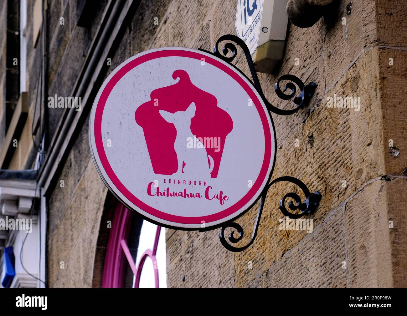 Chihuahua Cafe Schild, Animal Cafe, Frederick Street, Edinburgh Schottland Stockfoto