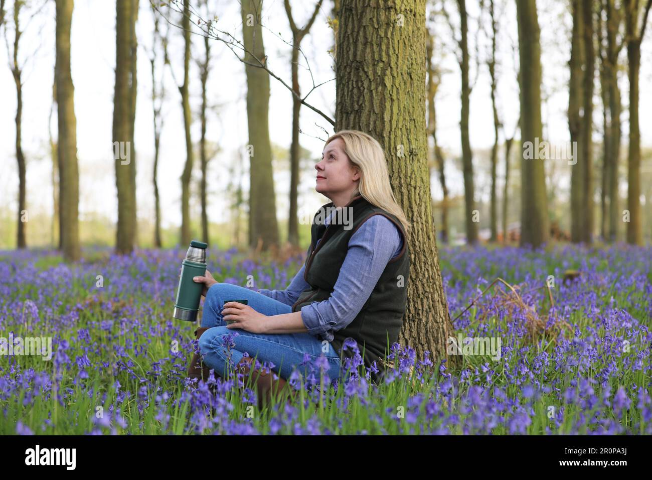 Eine Frau, die in einem Bluebell-Holz sitzt und eine Flasche und einen Becher hält Stockfoto