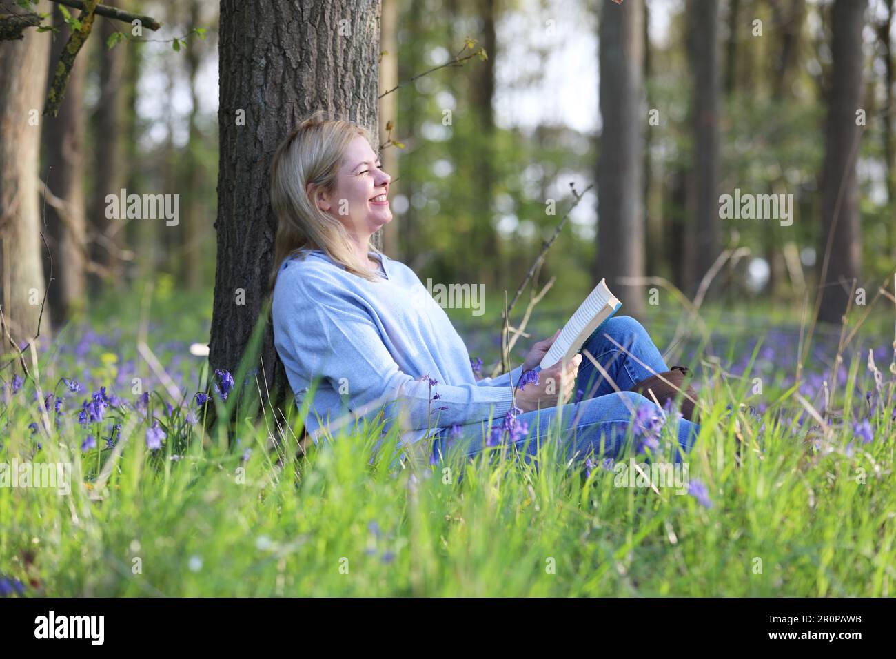 Eine Frau, die in einem Bluebell-Holz sitzt und ein Buch liest Stockfoto