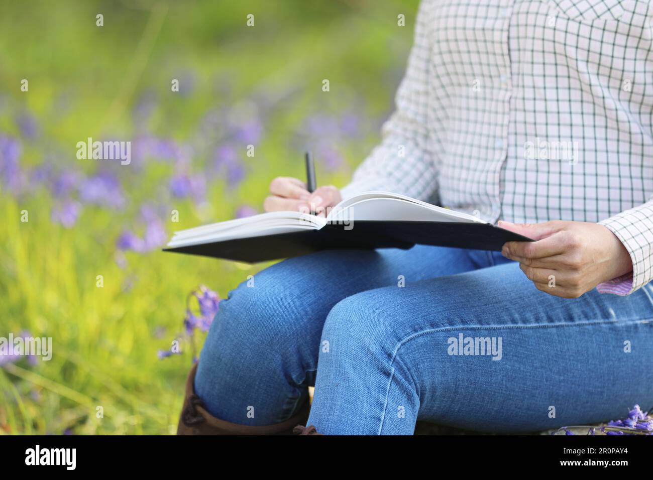 Nahaufnahme einer Frau, die auf einem Baumstumpf in einem Bluebell-Holz sitzt und skizziert Stockfoto